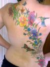 hummingbird tats image with vine